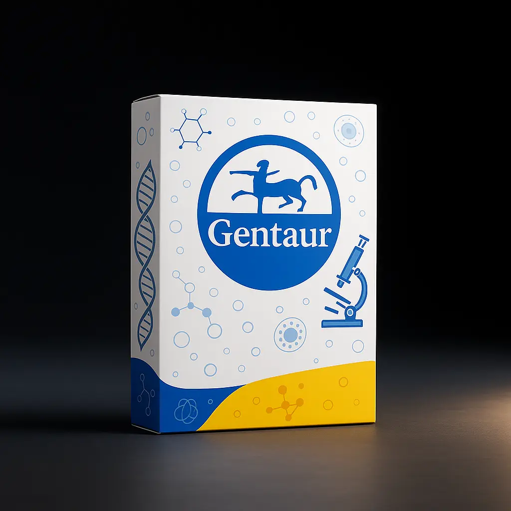 DNA Gel Extraction Kit