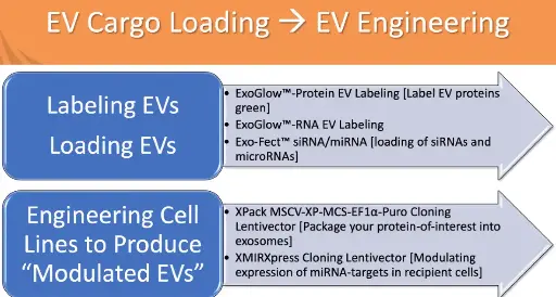 [322-EXFT10A-1] Exo-Fect Exosome Transfection Kit
