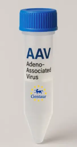 [MA-974] CINP AAV Vector (Mouse) (CMV)